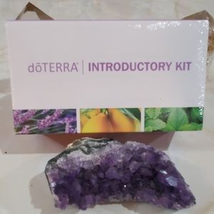 🌱RESTOCKED🌱 doTERRA Introductory Kit *NIB*